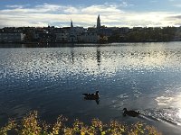 IMG 3989  looking for food