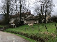 IMG 6891  but now we are in Franche-Comte profonde