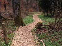 IMG 1278  such a lovely trail way out in the country