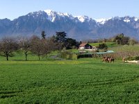 IMG 1302  big enough for horses anyway