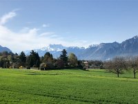 IMG 6973  We got our exercise by walking to Vevey...