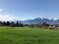 IMG 6974  through the green zone behind Burier