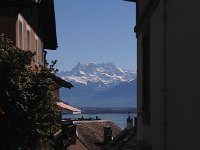 IMG 1349  then vista