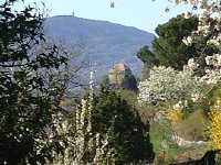 IMG 1359  Looking forward when going to the garden