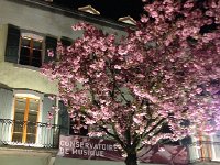 IMG 1385  and the courtyard of Maison Visinand as we walk back up hill after very strange movies