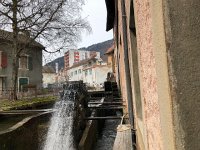 IMG 6855  different speeds