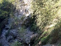 IMG 1406  trail up the gorge