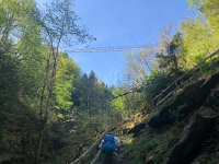 IMG 7026  the trail climbs to a new suspension bridge