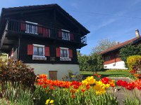 IMG 7032  little chalet