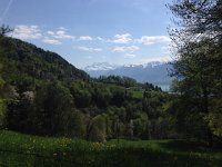 IMG 1444  meanwhile I walk from Blonay toward Chamby