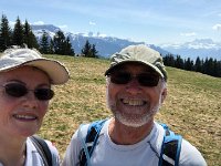 IMG 7050  in the pasture at the summit