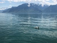 IMG 7056  at lake edge