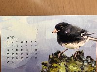 IMG 7060  the flip side