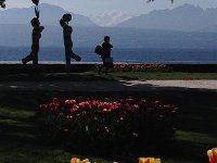 IMG 1501  Statues draw the eye towards the middle of the photo to Mt Blanc in the distance