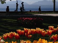 IMG 1502  Can we have too many of this shot?