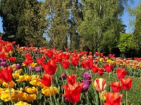 IMG 7077  There is a mound up which the beds are arranged