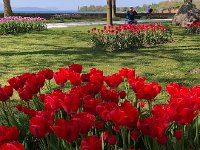 IMG 7083  Christine&#39;s photo