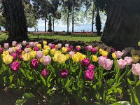 IMG 7092  Trix cereal?