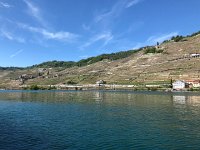 IMG 7116  Epesses in the distance. Rivaz on the right