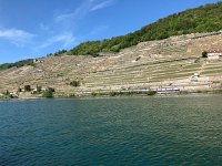 IMG 7117  train and boat traded signals in their deep voices