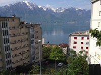 IMG 1523  vista from the chair in my garden