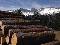 IMG 1536  Pre-Alpes Fribourgeoises