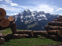 IMG 1537  Videmanette