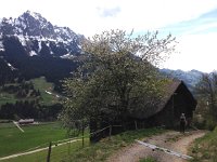 IMG 1541  nearly back down to town