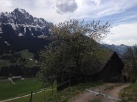 IMG 1542  same photo with different exposure