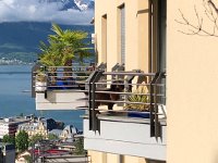 IMG 7164  the Guerrier&#39;s dog on one of his balconies