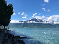 IMG 7170  down at lake edge by the Forum