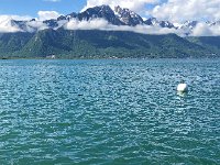 IMG 7174  word gets around under the Grammont