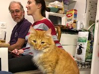 IMG 7178  Woody stands by