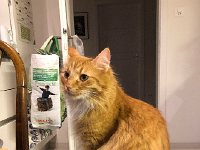 IMG 7181  standing by...