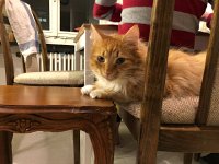 IMG 7185  moving onto Bri&#39;s chair