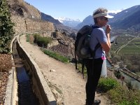 IMG 0958  and the bisse behind