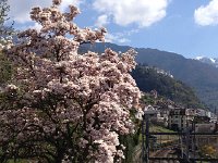 IMG 1328  along the tracks