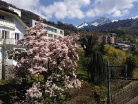 IMG 1330  looking back toward R de N