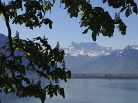 IMG 1390  putting out flowers