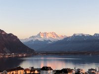 IMG 6889  les D. du M.