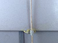 IMG 3048  for the record