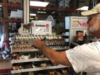 IMG 9690  in the Landi the same brand of play animals as in Murdoch&#39;s