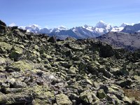 IMG 3300  higher up, the same peaks plus la Dent Blanche and the Matterhorn