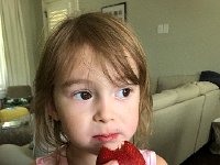 IMG 9585  testing the strawberries