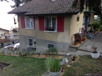 IMG 3052  3 August house all cleaned up