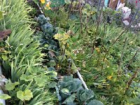 IMG 3054  productive