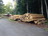 IMG 3060  log decks on the way down
