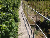 IMG 3088  12 August - math of the steps