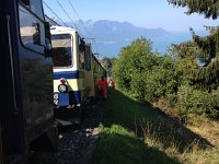 IMG 3190  lots of orange outfits