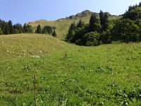 IMG 3324  looking up steeply to Cape au Moine
